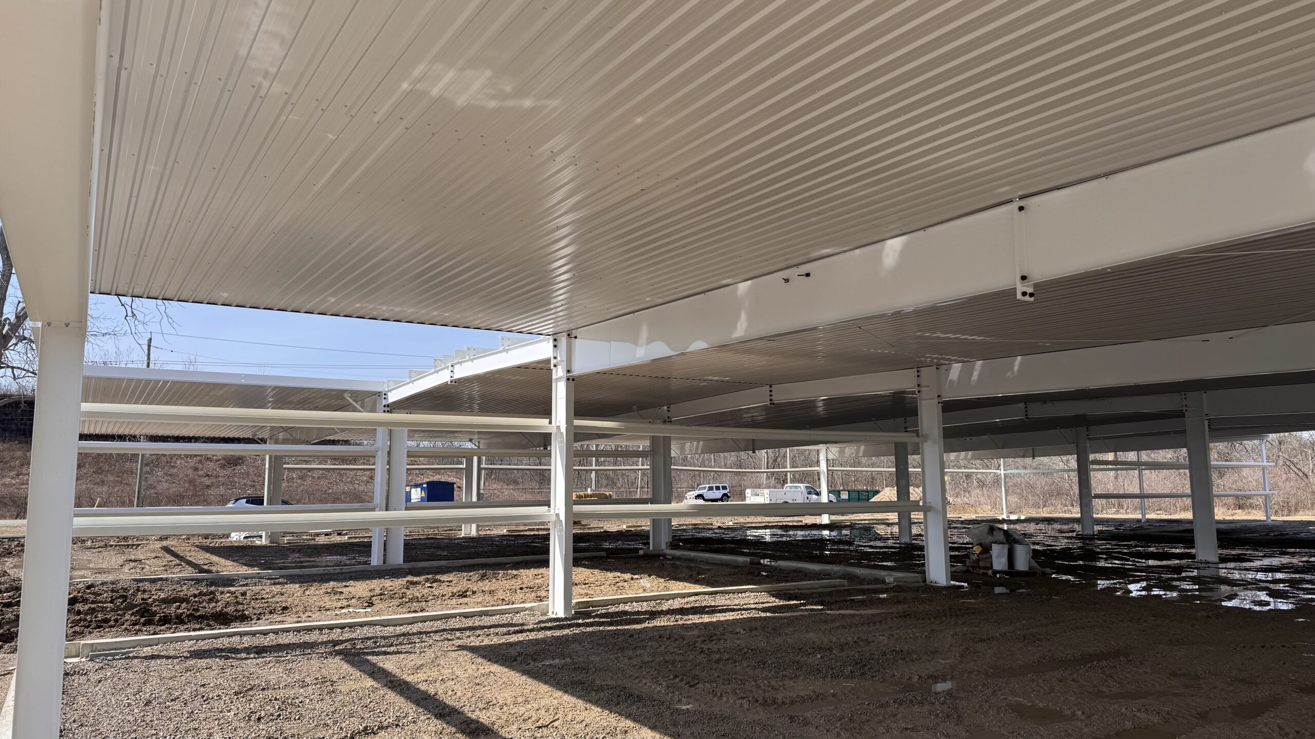 (132) 2025-03-12, 2 54 52 PM