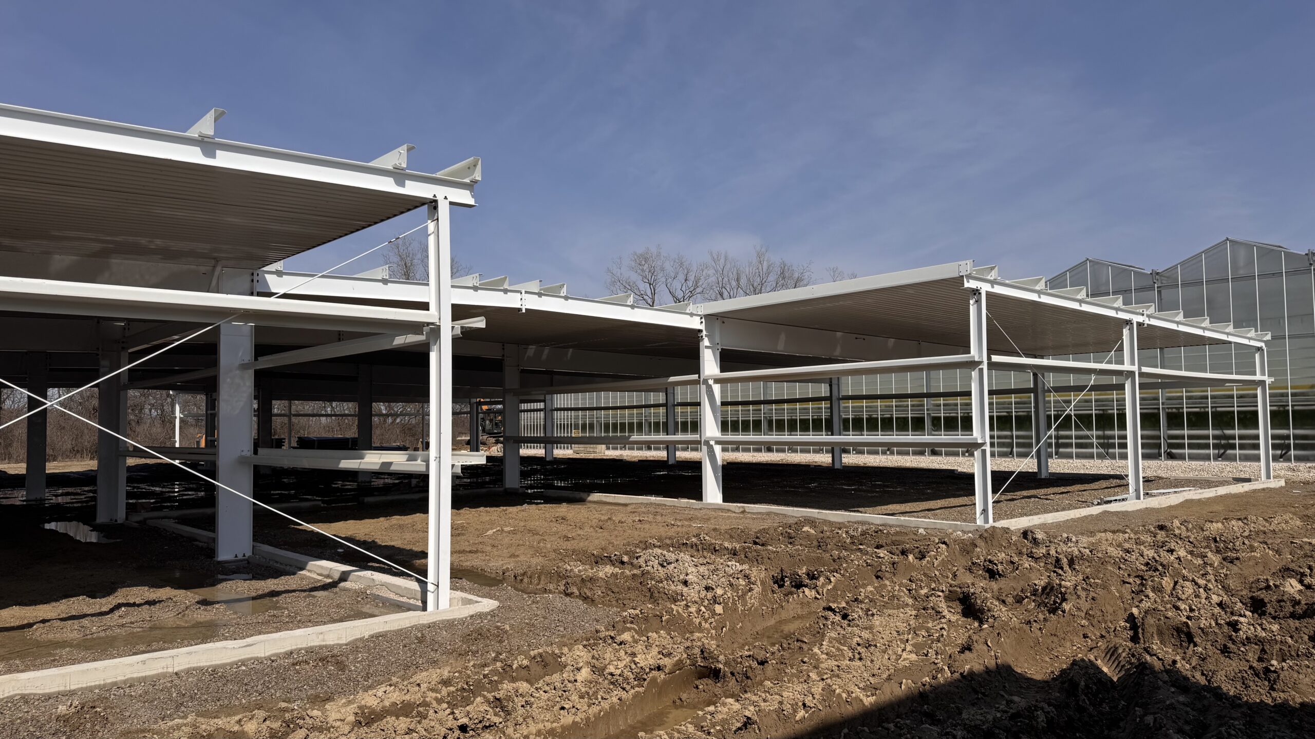 (135) 2025-03-12, 2 56 34 PM