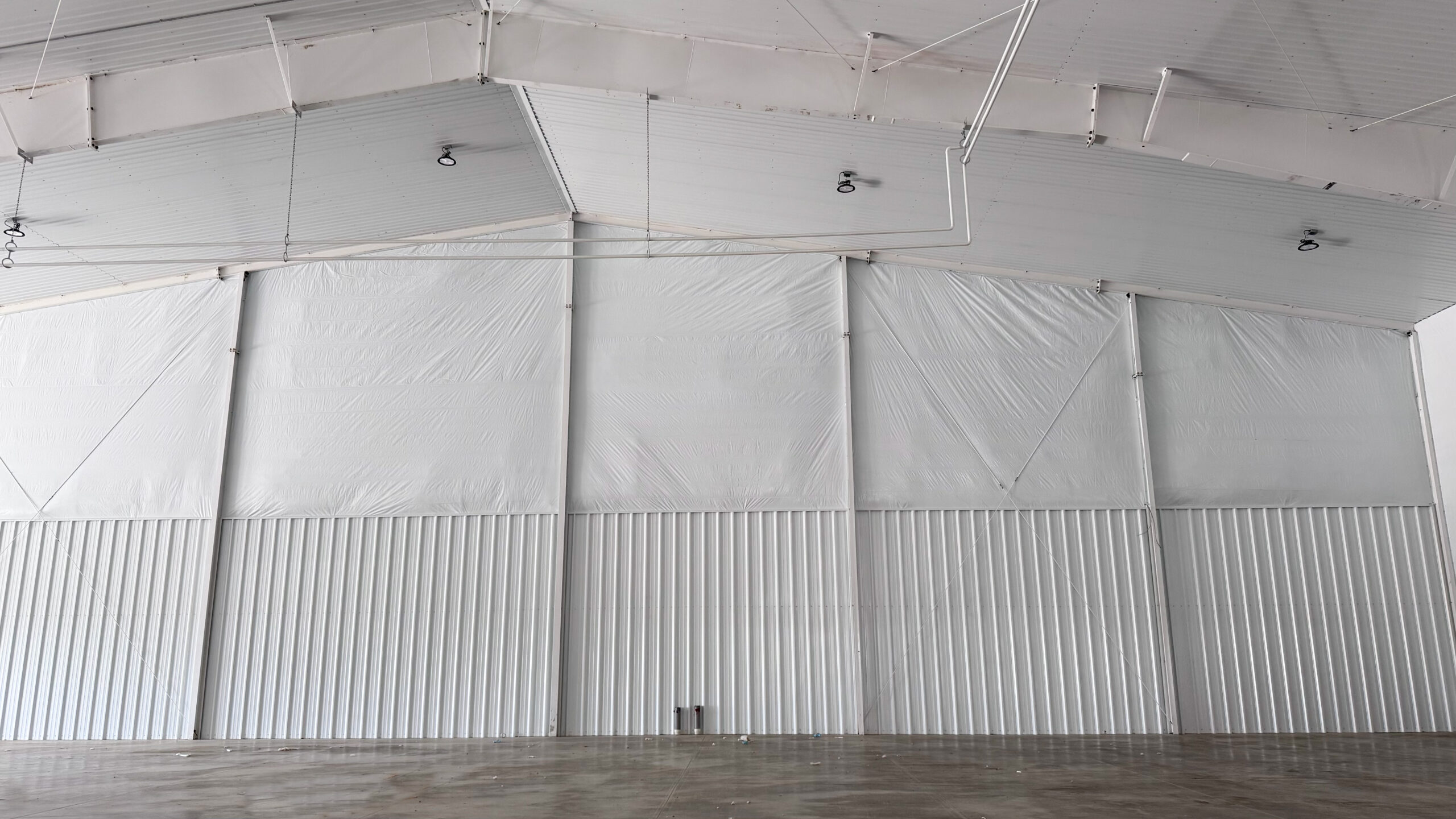 (262) August 11, 2025