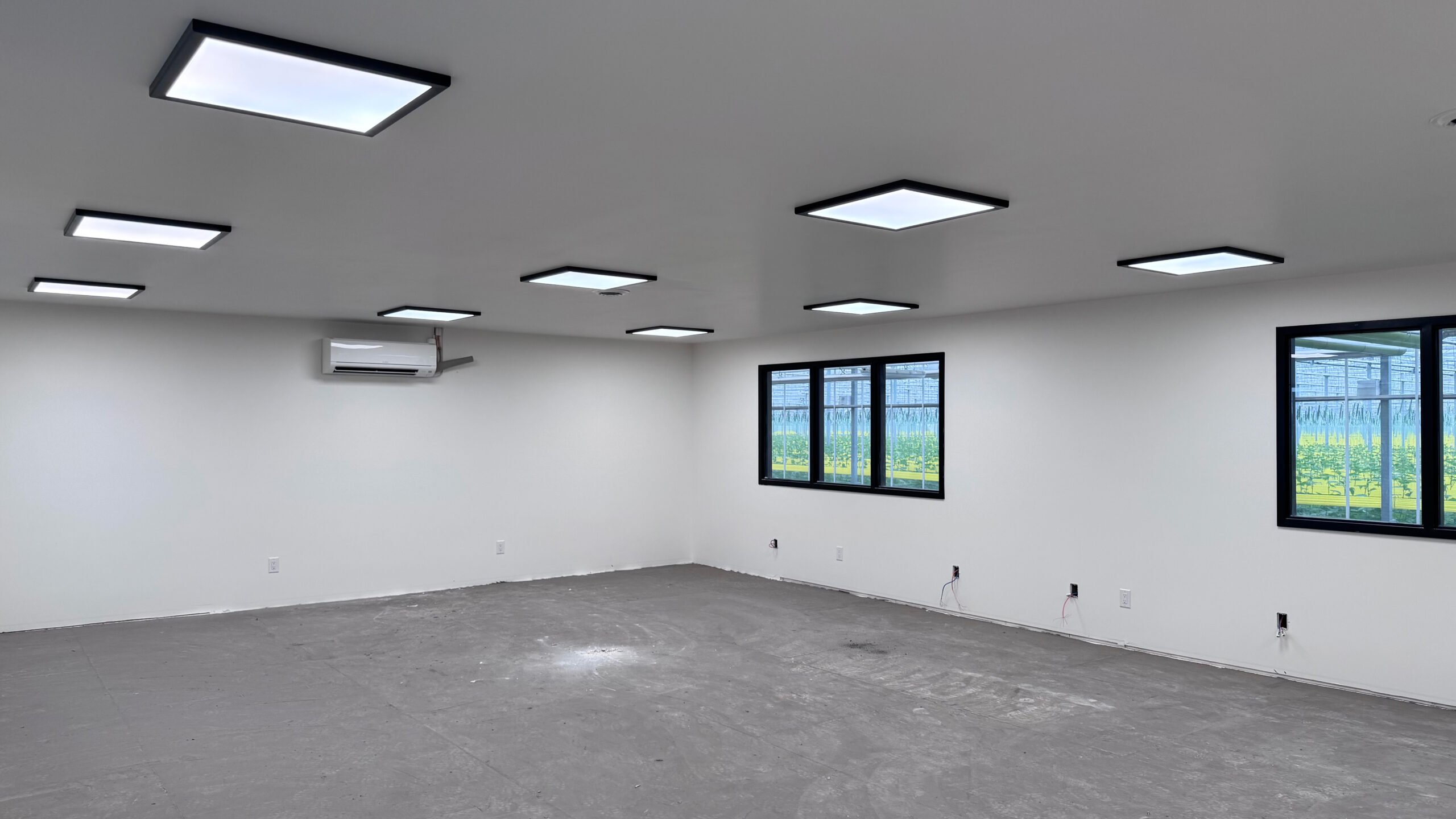 (365) 2025-05-06, 8 11 49 AM